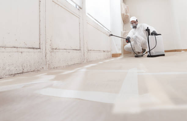 24/7 Emergency Commercial Mold Remediation experts in Bloomington, MD