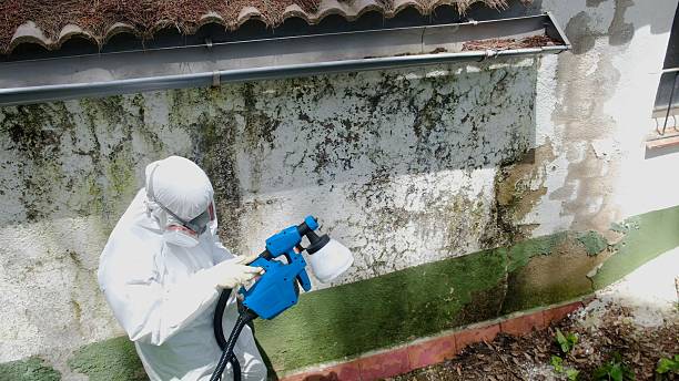Top rated local Commercial Mold Remediation specialists in Bloomington, MD